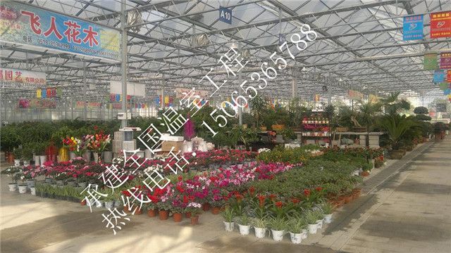 江苏连云港国际花卉温室城项目